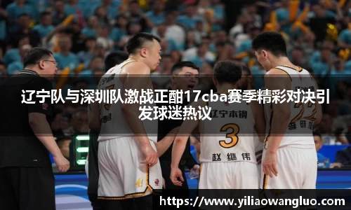 辽宁队与深圳队激战正酣17cba赛季精彩对决引发球迷热议